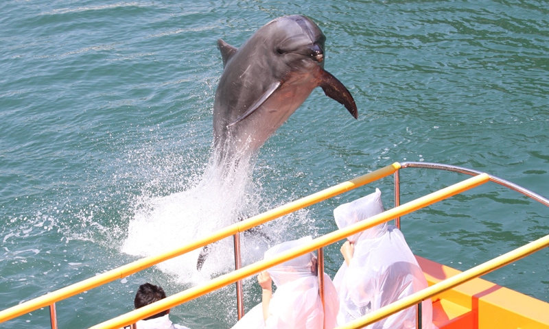 2019年11月8日 下田海中水族館