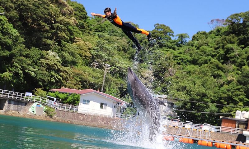 2019年11月8日 下田海中水族館