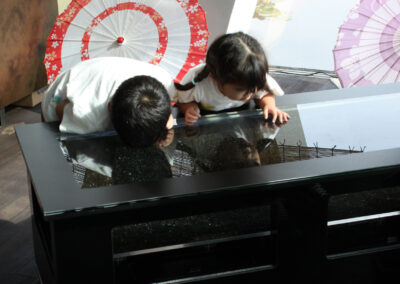 Children, being closer to the height of the table, have an excellent view of the fish.