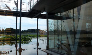 An outdoor scene. Can you see Bird’s Eye Aquarium through the glass?