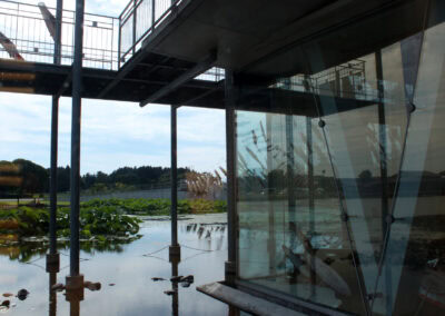 An outdoor scene. Can you see Bird’s Eye Aquarium through the glass?