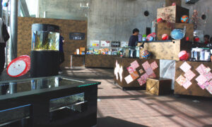 View of the exhibition hall from Bird’s Eye Aquarium. Thoughtful efforts have been made to create a Japanese-style ambiance.