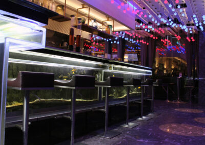 With Bird’s Eye Aquarium bar counter, guests can enjoy fish watching not only from the top, but also from different angles.