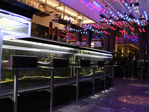 The First-ever Bar Counter Aquarium in the Venice of the East – Choco+ TEMPO in Suzhou