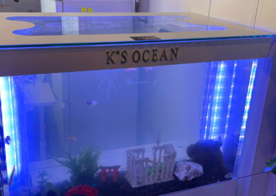 バーズアイ水槽が設置された札幌にあるK's OCEAN