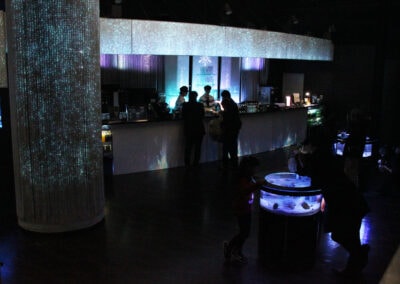 Customers who have ordered a drink are watching fish in Bird’s Eye Aquarium while taking a break.