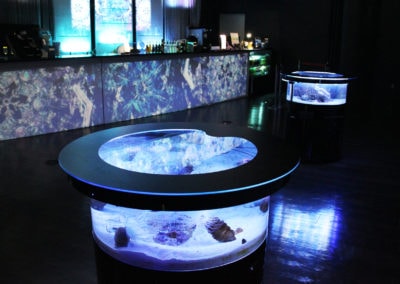被設置在位於東京的Maxell Aqua Park Shinagawa館內的珊瑚咖啡吧的BIRD'S EYE水槽