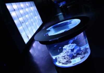 東京にあるマクセルアクアパーク品川の「NIGHT BLUE LOUNGE」という期間限定イベントに設置されたバーズアイ水槽