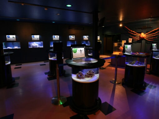 Exhibits Look Attractive in a Space of Gloom – Noboribetsu Marine Park Nixe