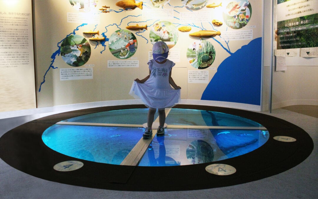 Walking on Water through Floor-Embeded Bird’s Eye Aquarium – Sagamigawa Fureai Science Museum