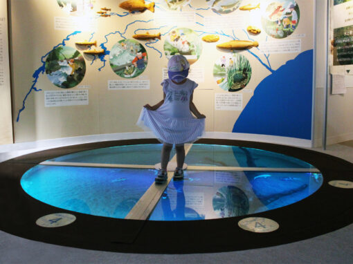 Walking on Water through Floor-Embeded Bird’s Eye Aquarium – Sagamigawa Fureai Science Museum