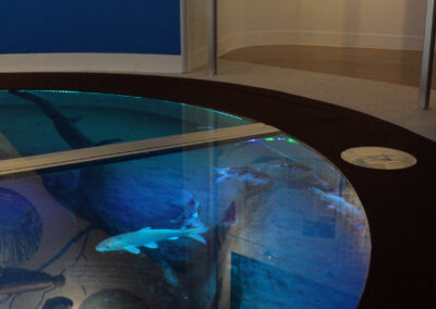 「水上散步水槽AYUMI」的上方玻璃與水面緊密貼合，猶如使用盒型潛望鏡，感受清澈透明的河水。