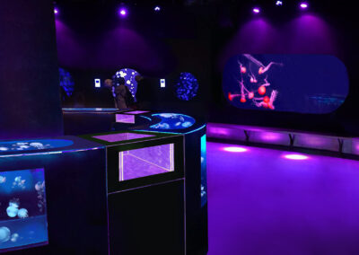 4pcs of Bird's Eye Aquarium in the form of bar counters at the center of the exhibition hall and 1 big kreisel tank at the side were installed in the medusarium of Paris Aquarium ”Cineaqua”.