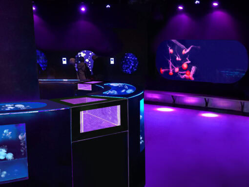 The World’s First Jellyfish Bar Counter Aquarium – Paris Aquarium Cineaqua