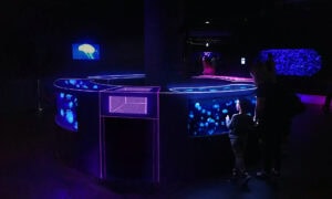 パリ水族館「シネアクア」のクラゲ館展示ホールの中央にバーカウンターの形をしたバーズアイ水槽4個、側面に大きなクライゼル水槽1個を納品しました。