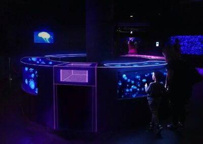With the big windows on the side and on the top of the bar-counter type "Bird's Eye Aquarium", both child and adult can observe the movement of jellyfish in our bar counters at a comfortable angle.