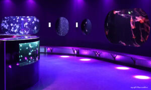 Photo provided by Paris Aquarium showing the bar-counter type "Bird's Eye Aquarium" and the big kreisel tank made by us. Copyright ©Aquarium de Paris