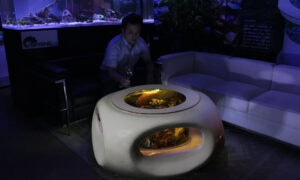バーズアイ水槽 宙テーブル（UFO） オールインワン