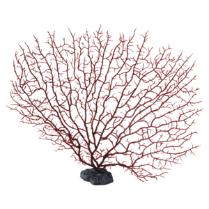 装飾珊瑚 ヤギヒドラ R 赤