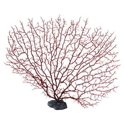 装飾珊瑚 ヤギヒドラ R 赤