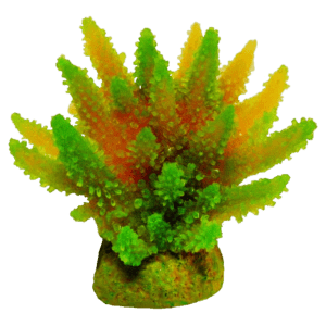 装飾珊瑚 ミドリイシ F オレンジ＋緑