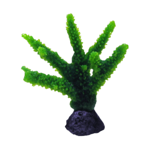 装飾珊瑚 ミドリイシ S 青+緑