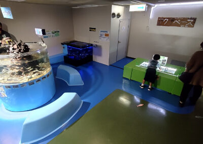 魚津水族館のキッズコーナー。親子でふれあえる体験型の水槽を三台設置しております。