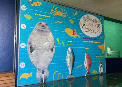 魚津水族館のキッズコーナー。かわいい水生生物と背比べしてみませんか。