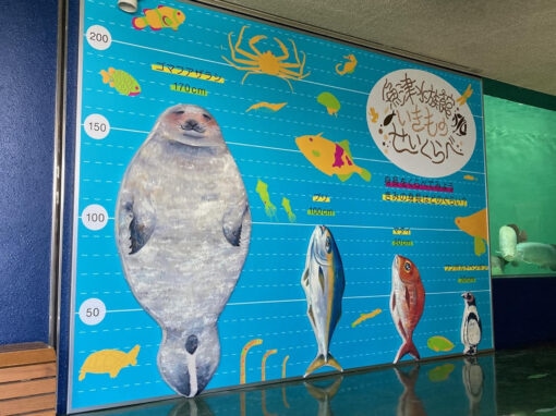 「座って、漕いで、照らして」 泳ぐ魚を身近に観察できる体験コーナー