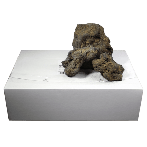 高濾過溶岩K8~15㎝ 1.5kg 黄系