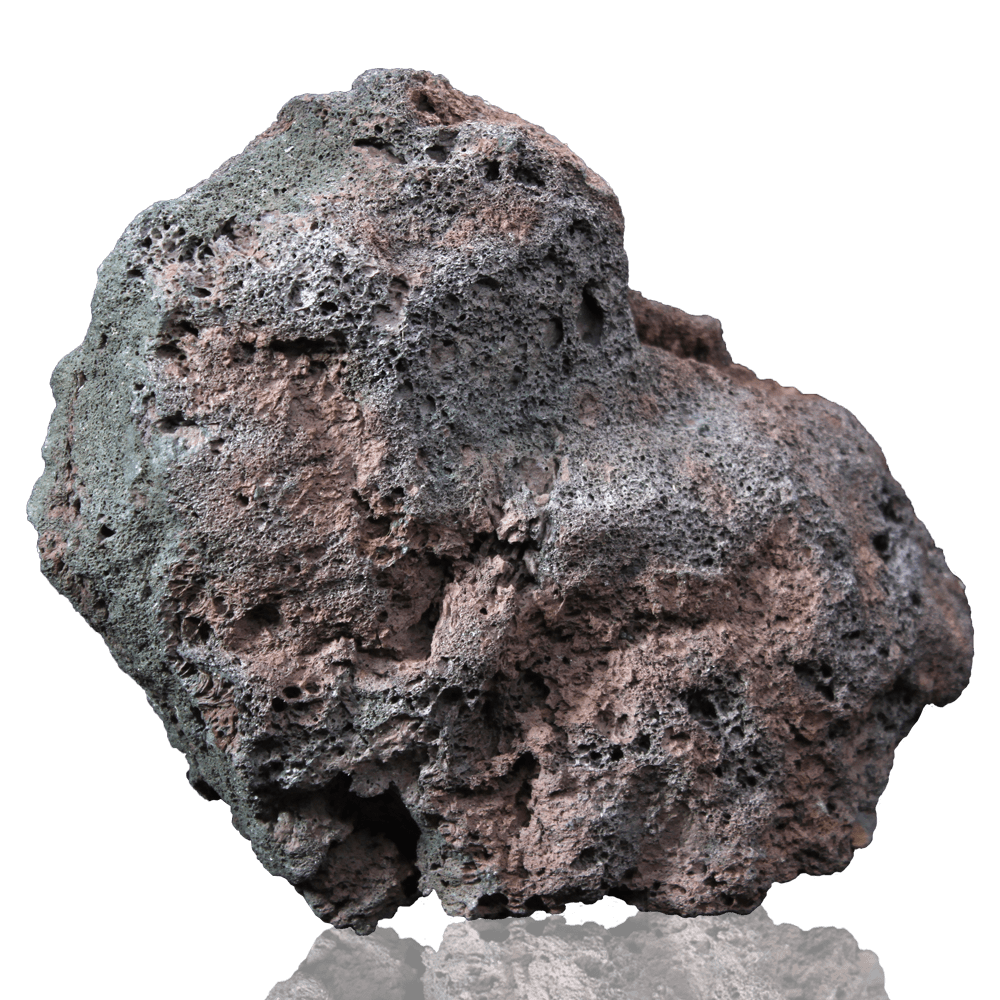 高濾過溶岩 国産大型溶岩石 L 限定版 W20cm x D15cm x H19cm 1.3