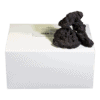 高濾過溶岩K3~12㎝ 2.5kg黒系
