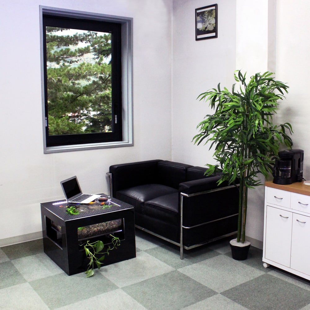 バーズアイ水槽 湧テーブル レクタングラ60 ブラック 自然と融合