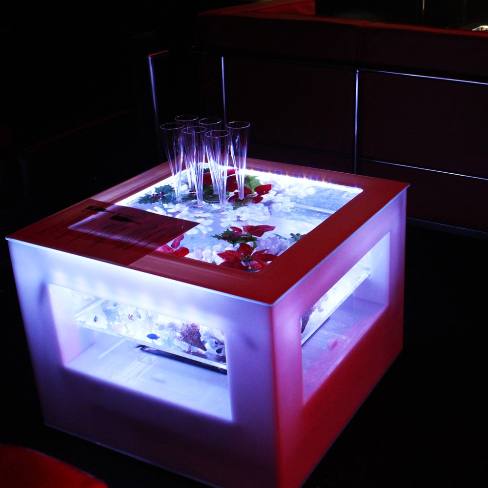 バーズアイ水槽 湧テーブル レクタングラ60 ホワイト